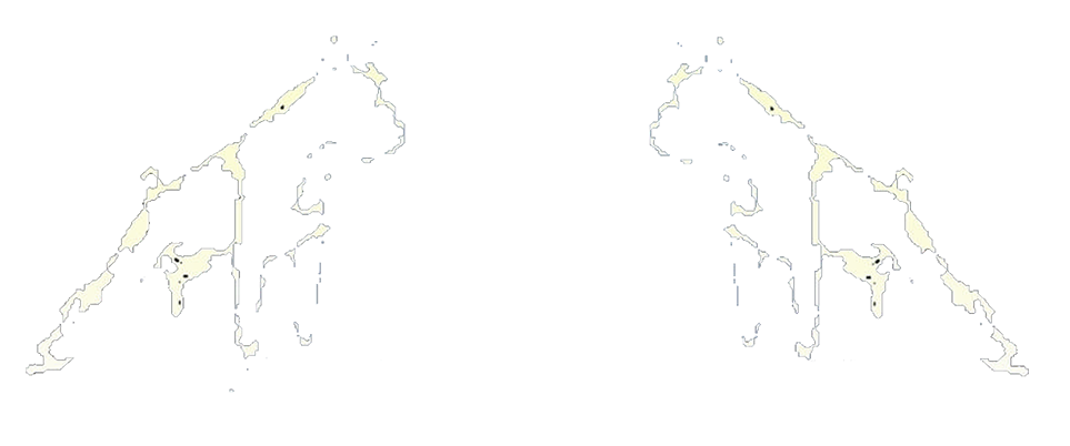 image logo